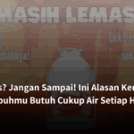 Haus? Jangan Sampai! Ini Alasan Kenapa Tubuhmu Butuh Cukup Air Setiap Hari