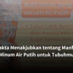 3 Fakta Menakjubkan tentang Manfaat Minum Air Putih untuk Tubuhmu