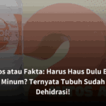 Mitos atau Fakta: Harus Haus Dulu Baru Minum? Ternyata Tubuh Sudah Dehidrasi!